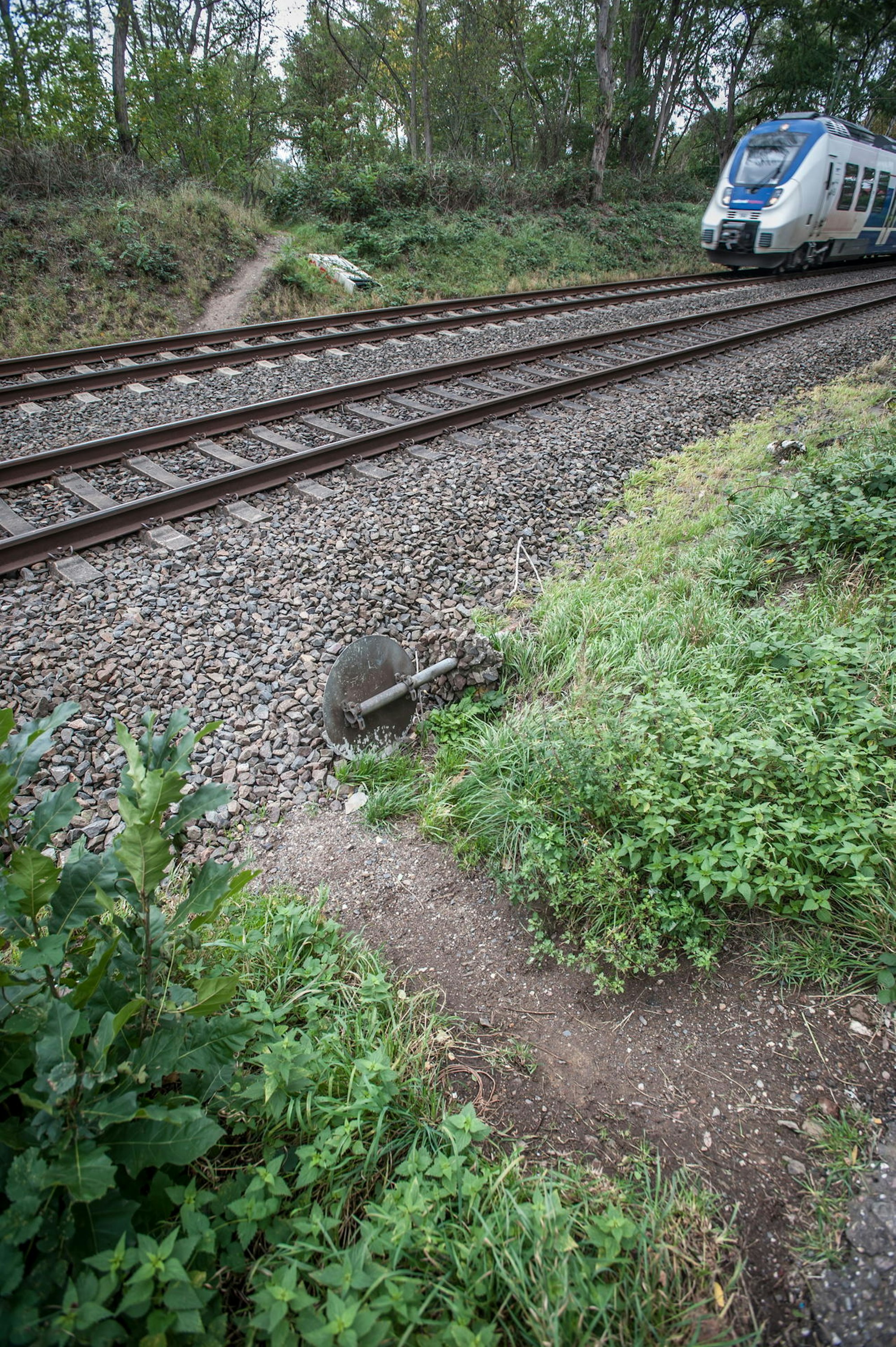 trampelpfad-leverkusen-ALF_0292