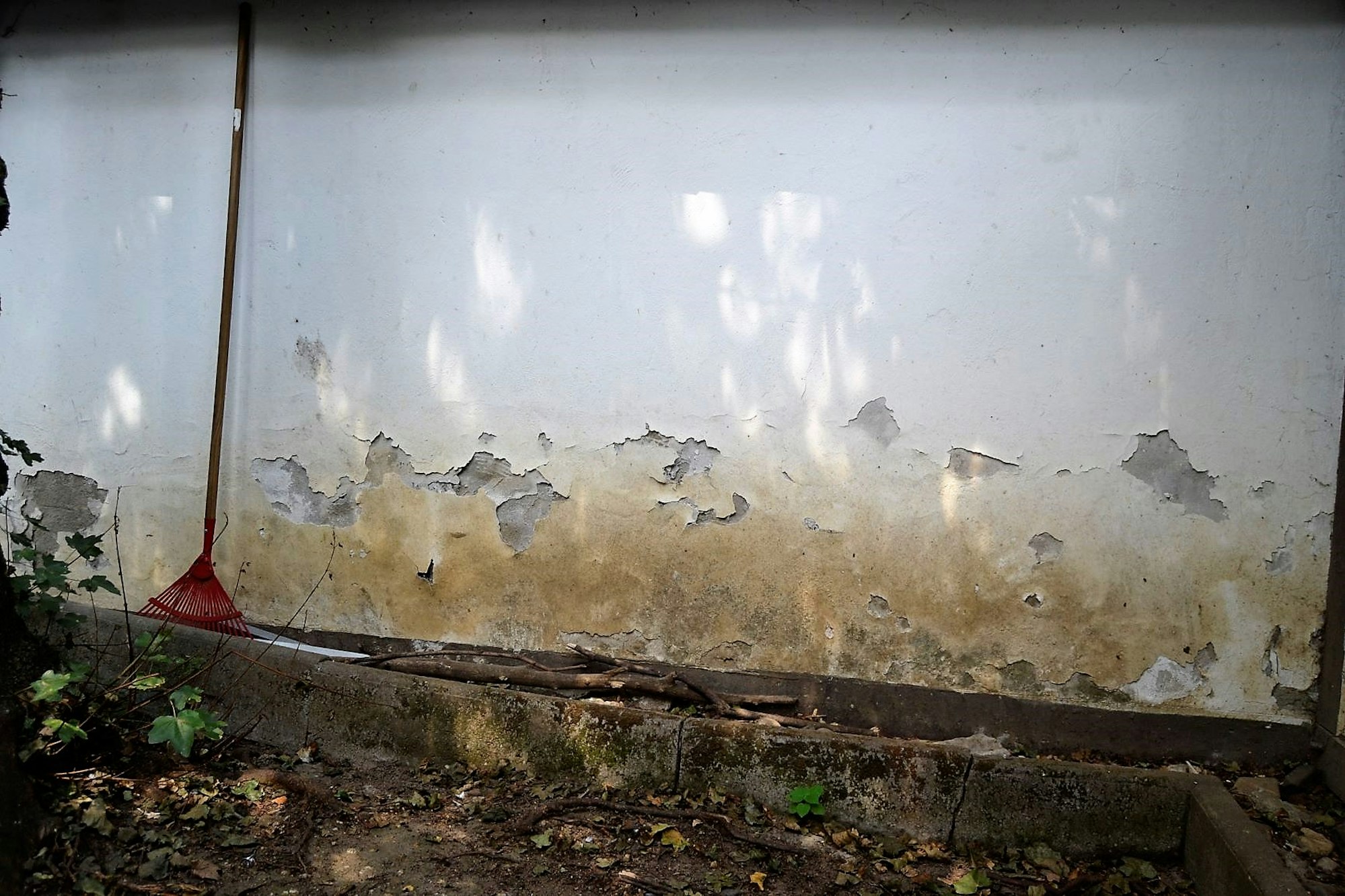 Zollstock_Tierheim_4