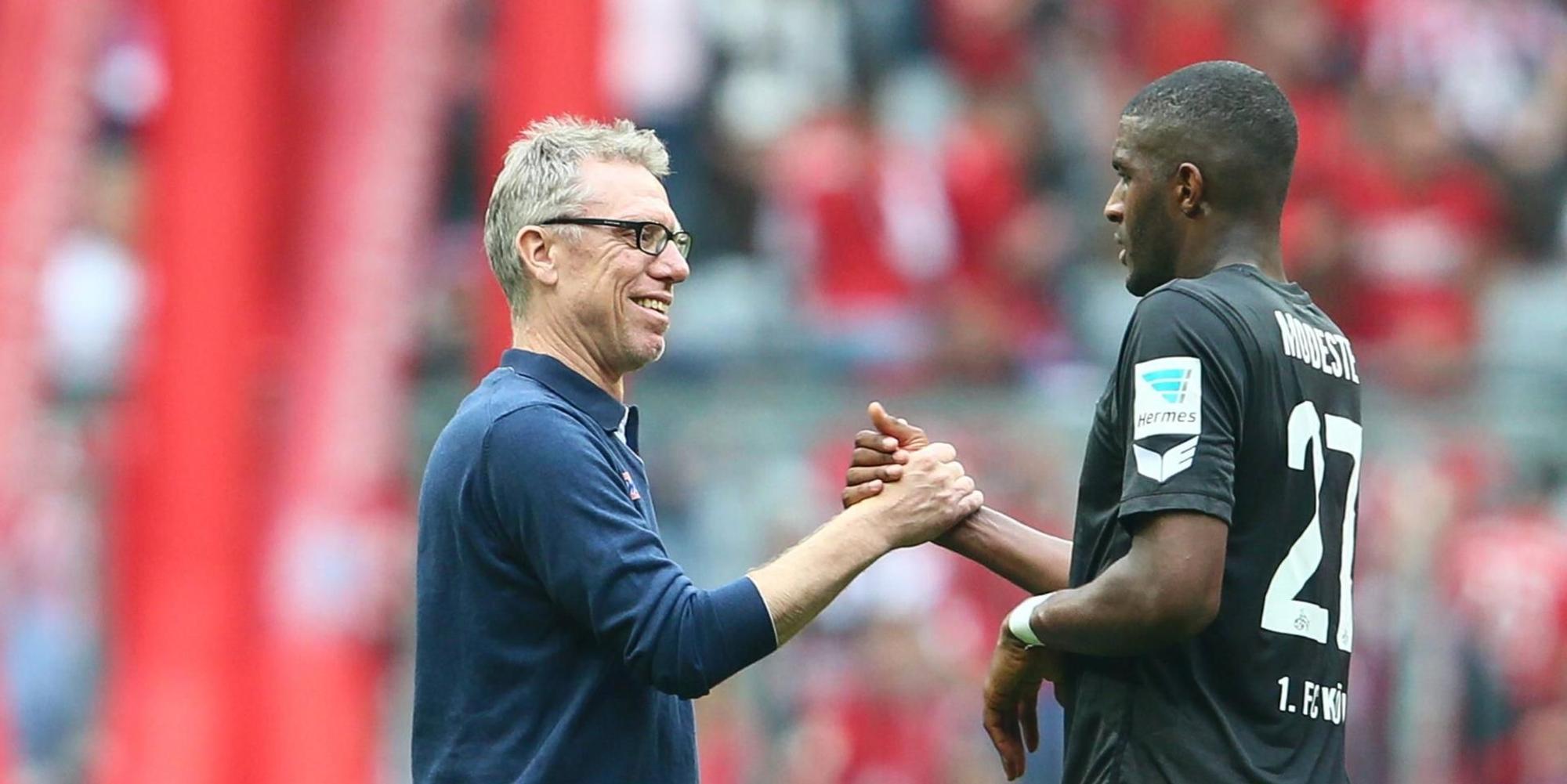 modeste_stoeger