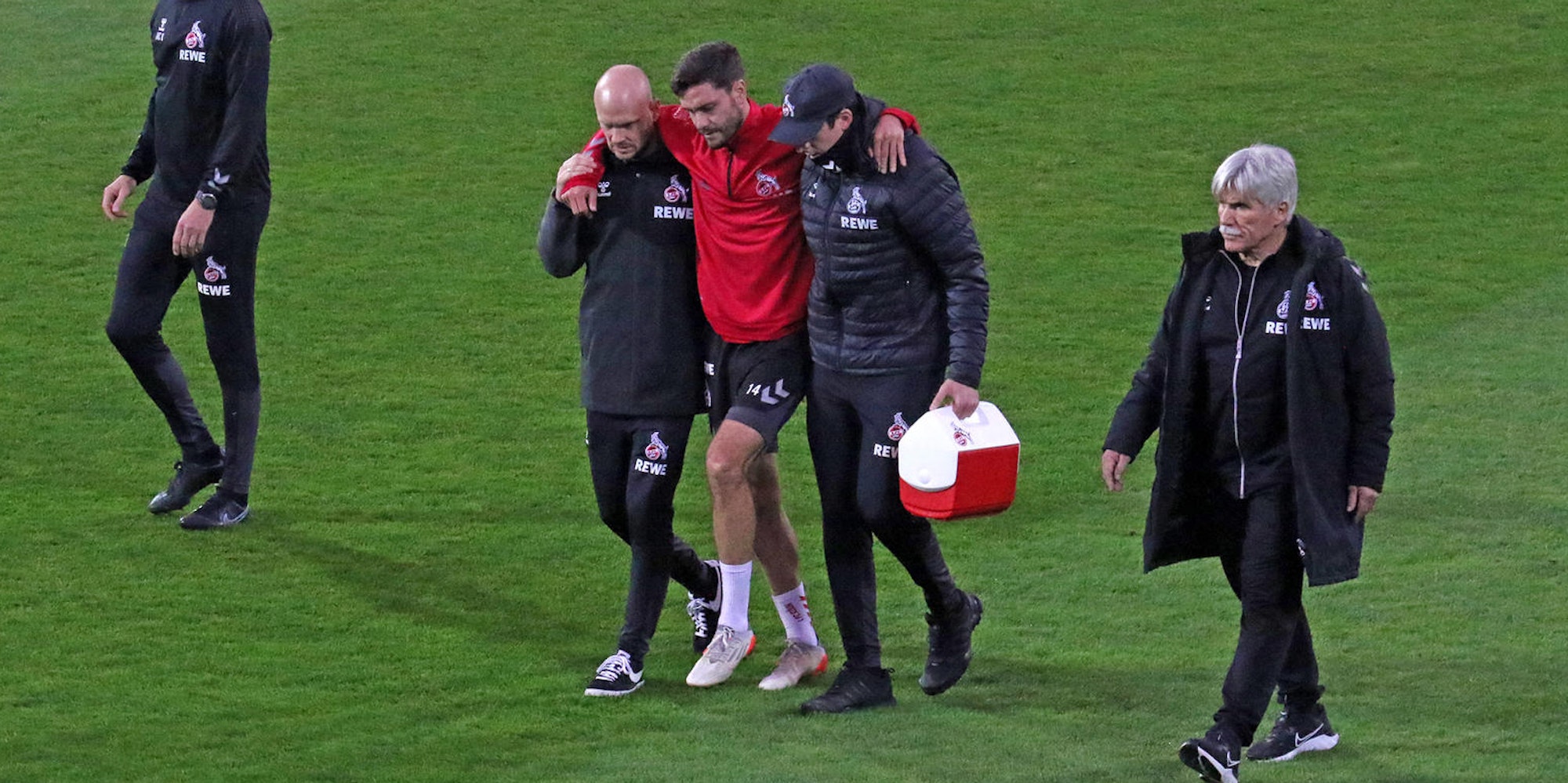 GEISSBLOG_Sonja-Eich_Hector