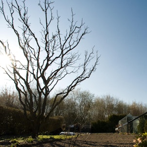 Garten im Frühling dpa 2018