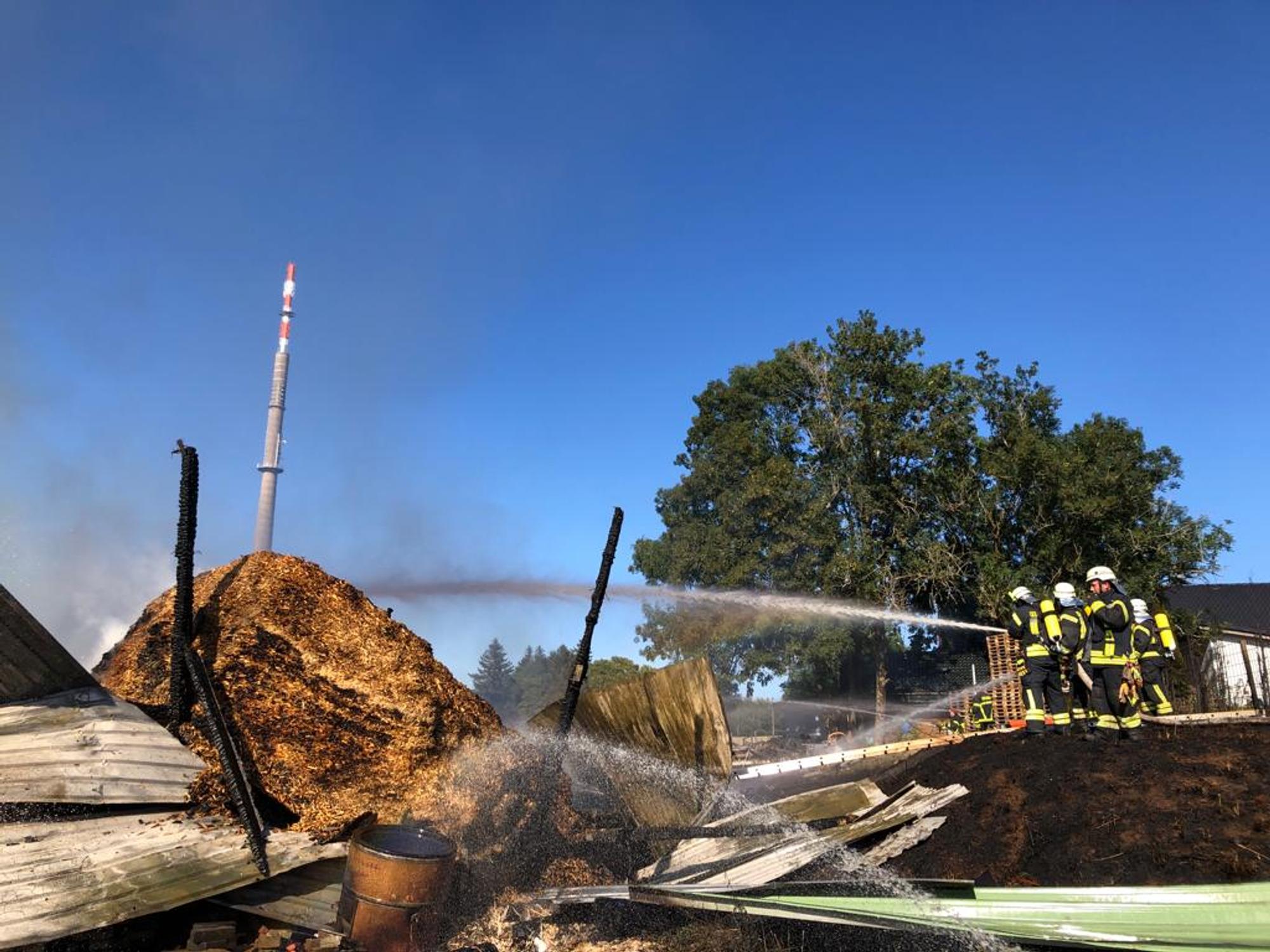 Brand Neuhaus (2)