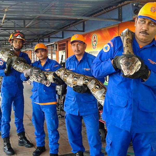 python2