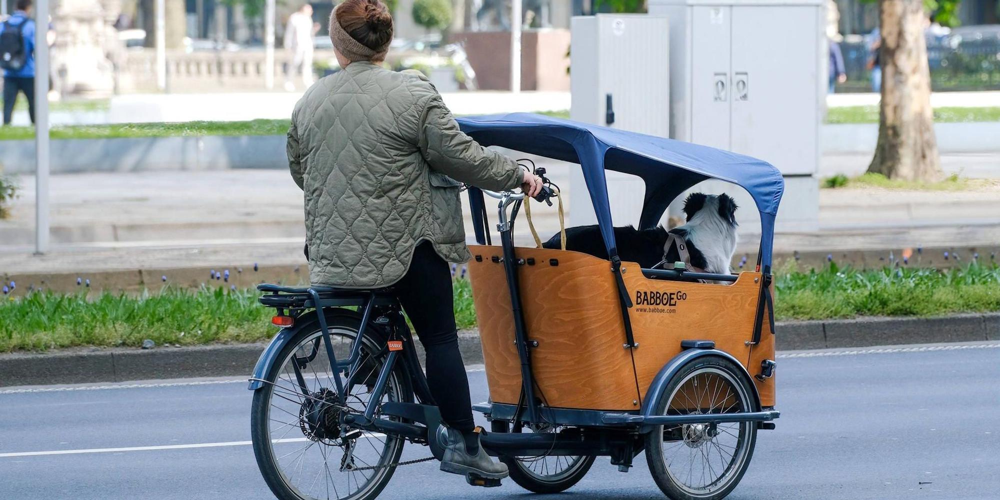 Lastenrad neu