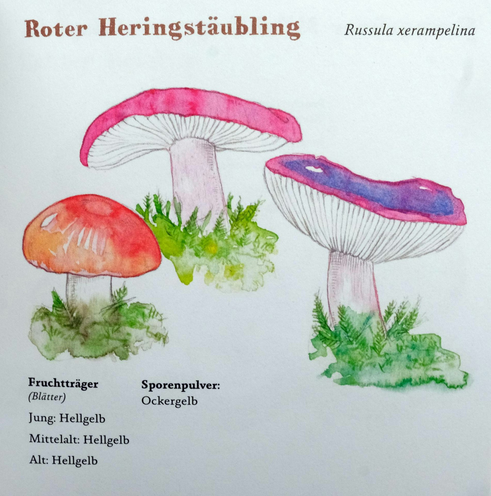 Neuer Inhalt