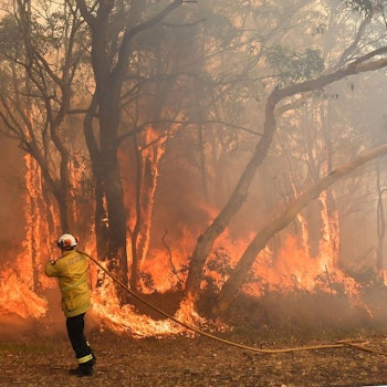 Gegenfeuer Australien