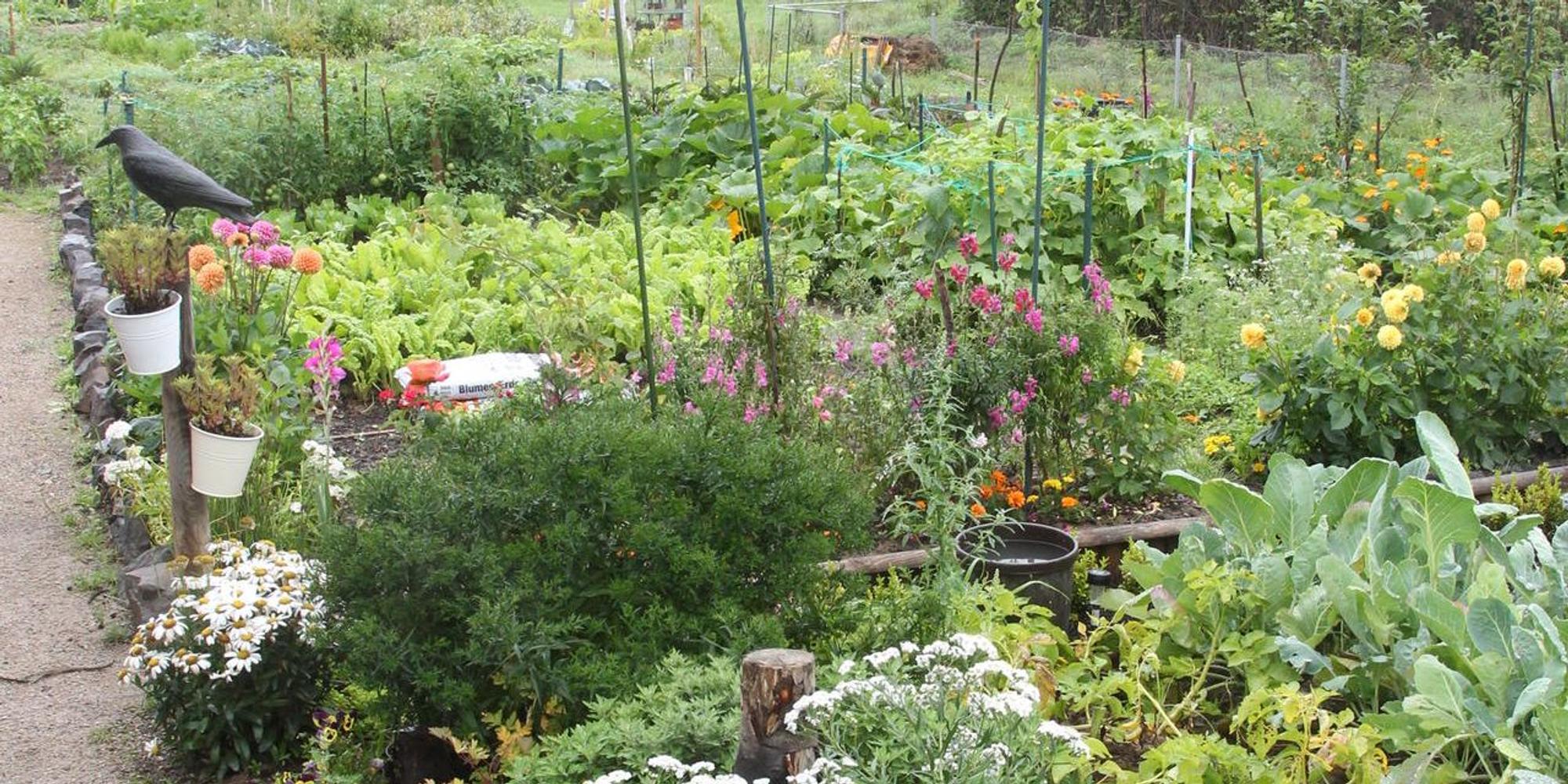 Garten_der_Nationen1