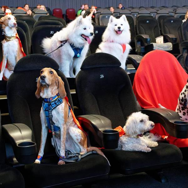 Superpets