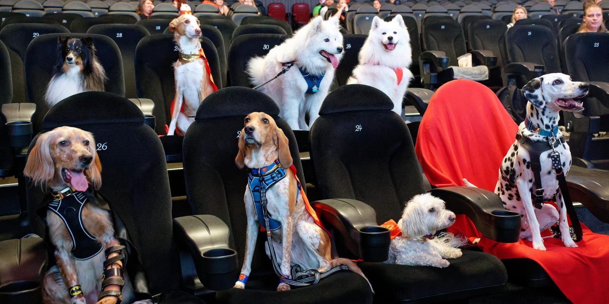 Superpets