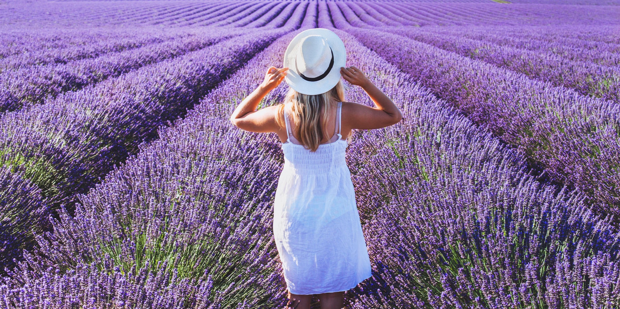 Frau steht in Lavendelfeld (2)