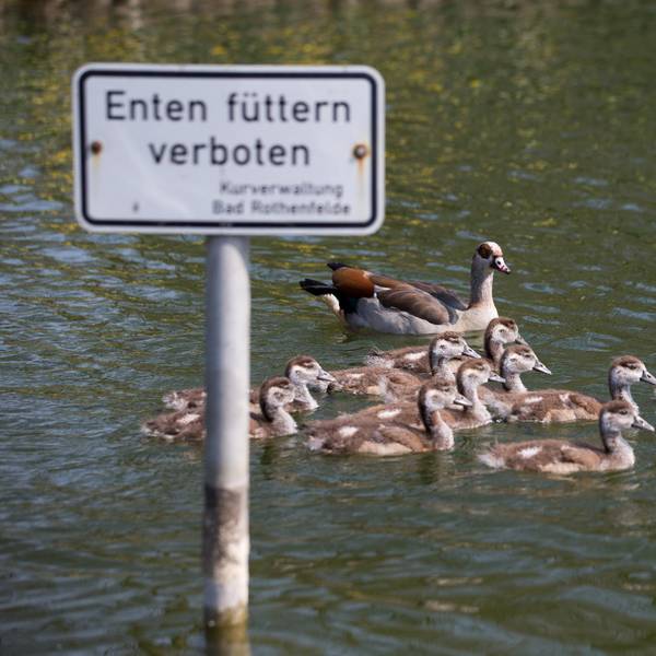 Neuer Inhalt