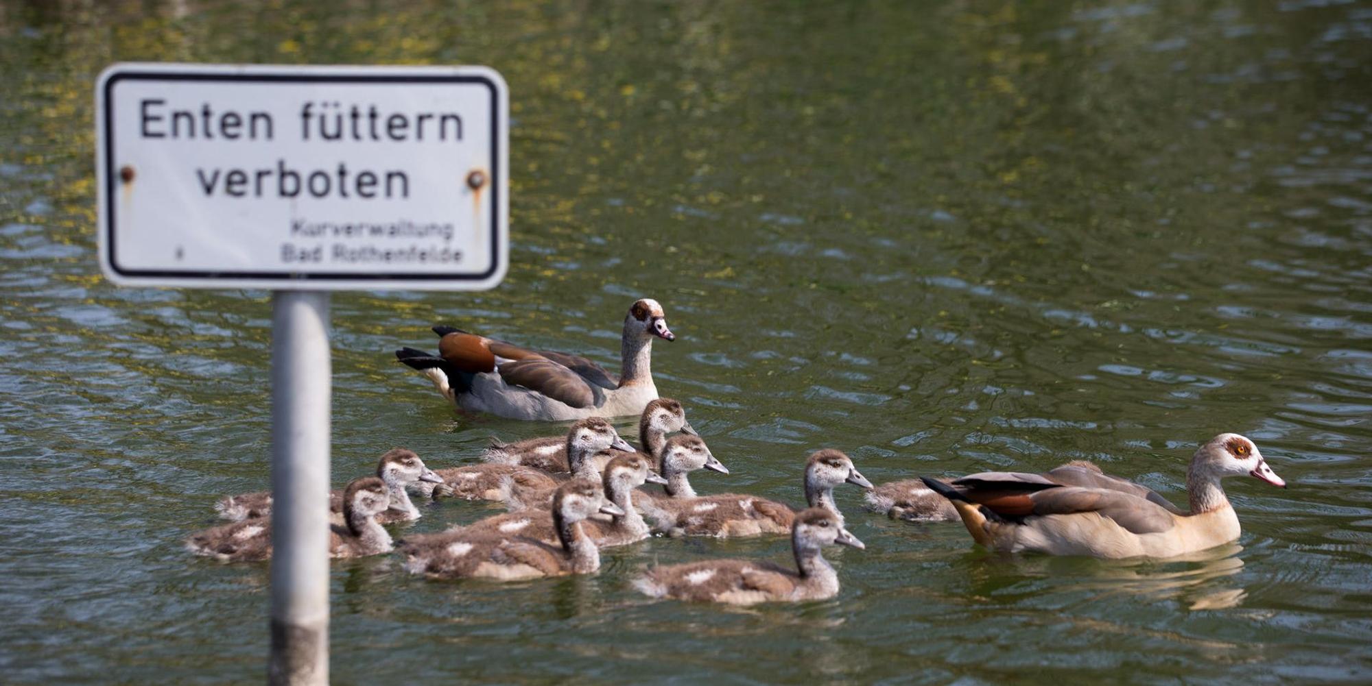 Neuer Inhalt