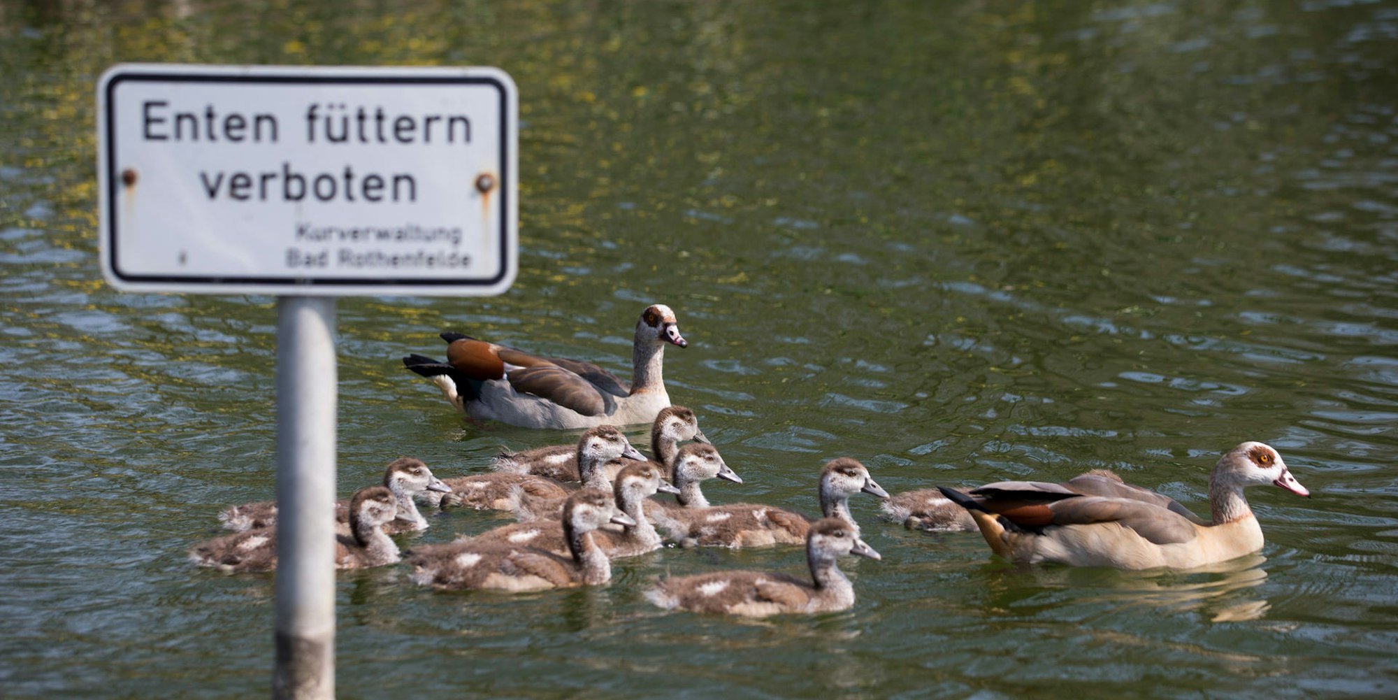 Neuer Inhalt