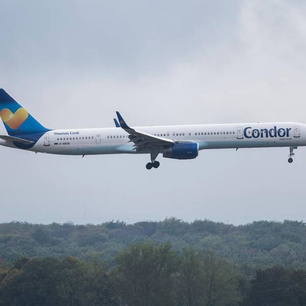 Condor dpa