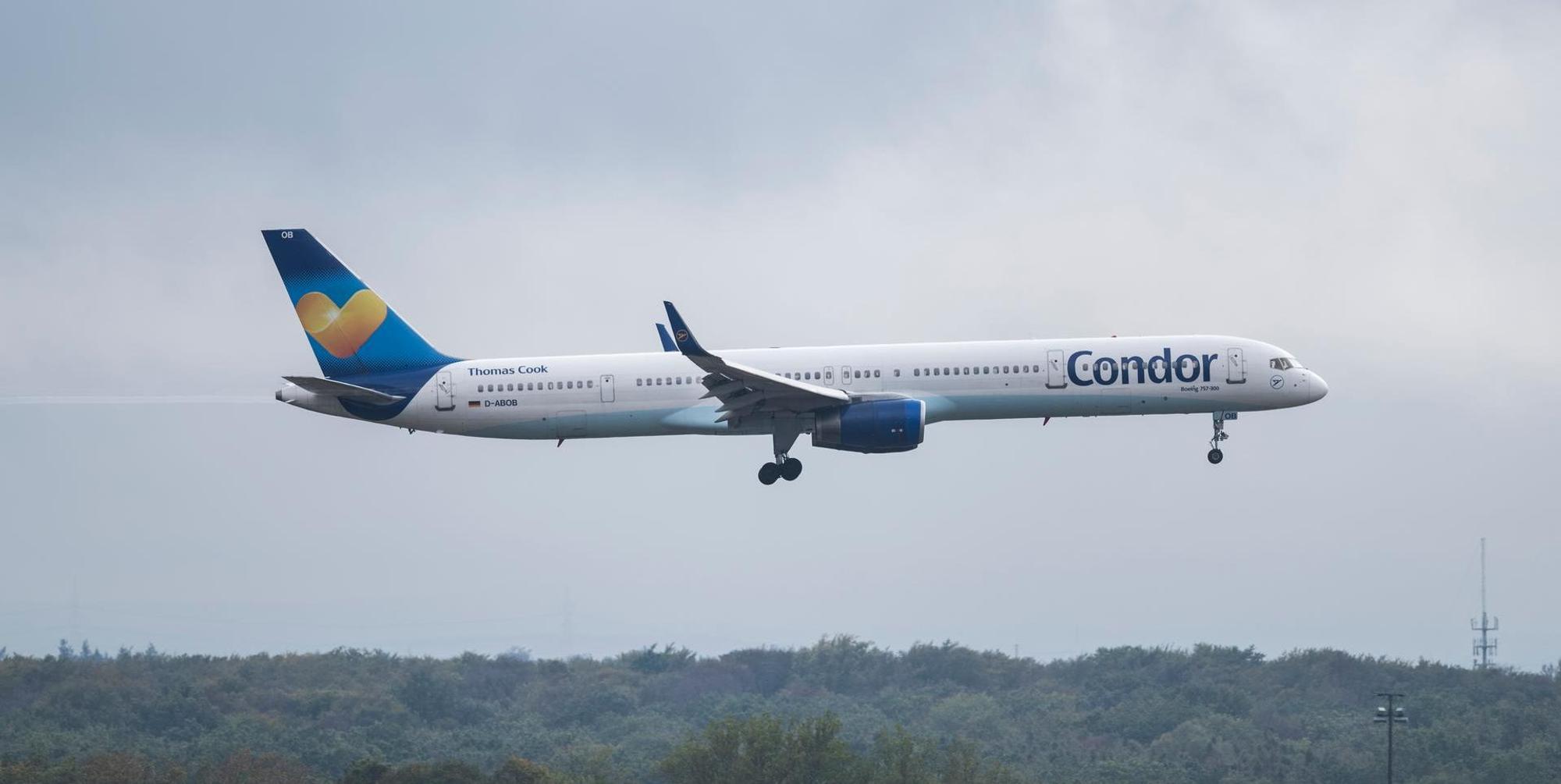 Condor dpa