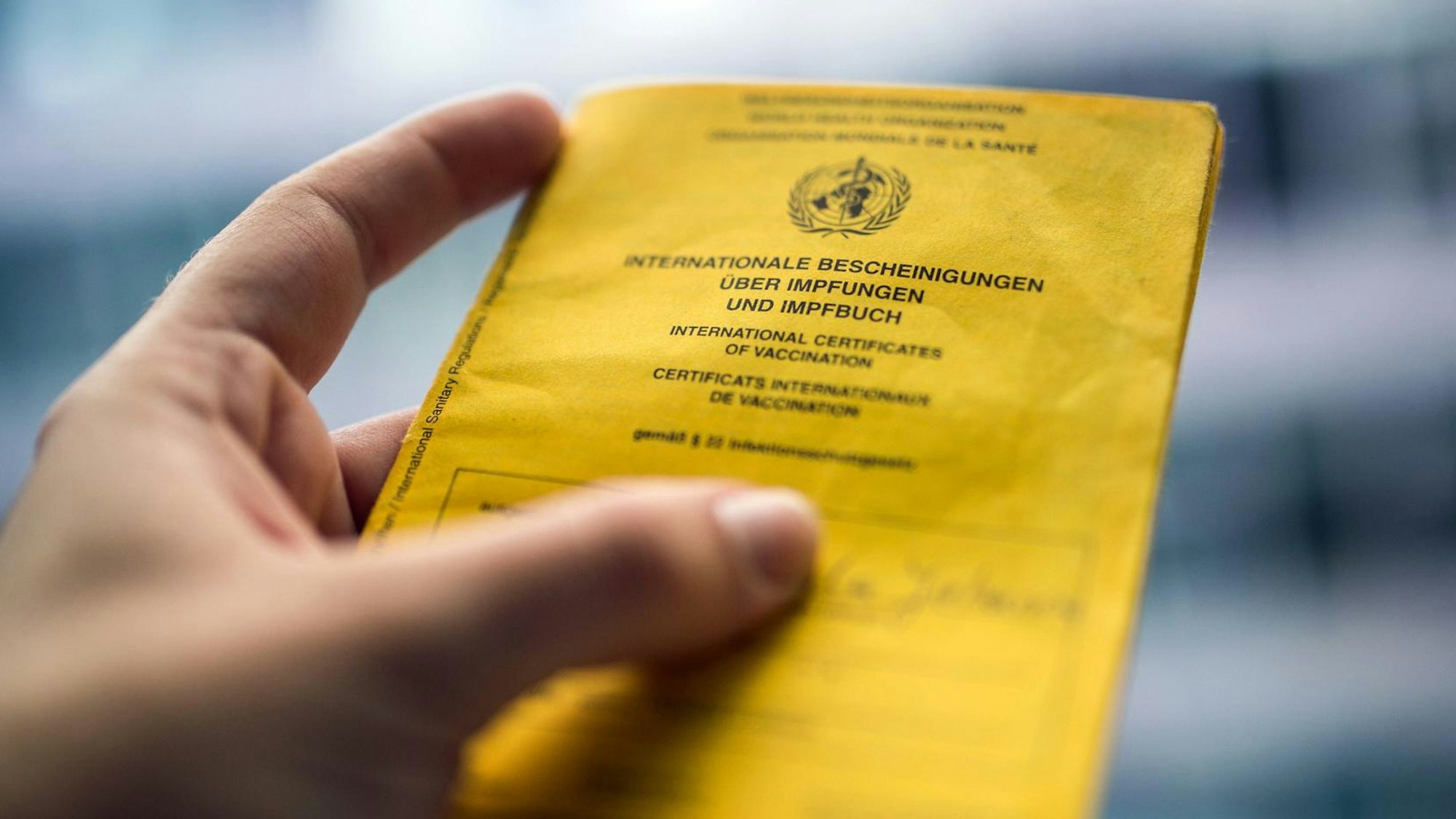 Weil er Probleme mit der Covid-Impfung hatte, besorgte sich der Mann einen gefälschten Ausweis – und flog damit auf. Unser Foto zeigt einen solchen Ausweis.