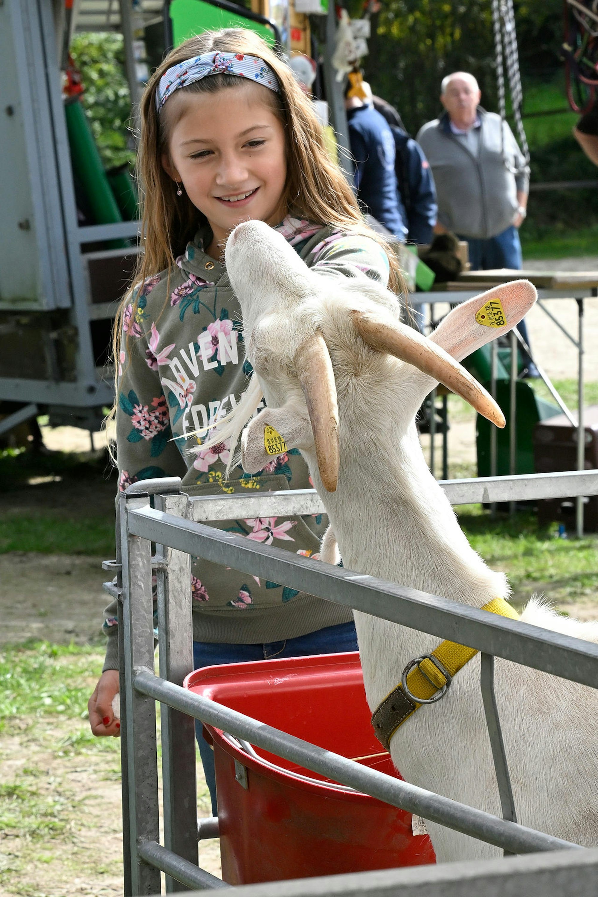 Kreistierschau RB_5