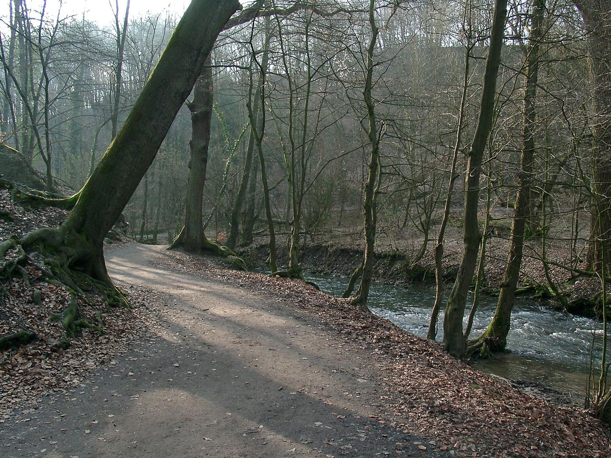 Neanderthal_Valley_cc2.5