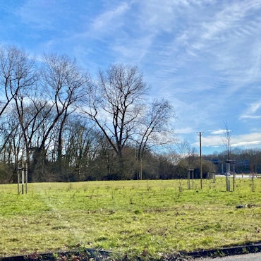 MDS-KSTA-2021-03-25-71-171012472