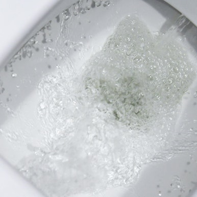 Abwasser_Toilettenspuelung