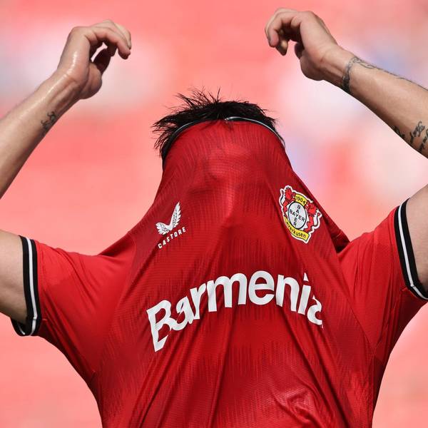 Bayer Kommentar Foto2