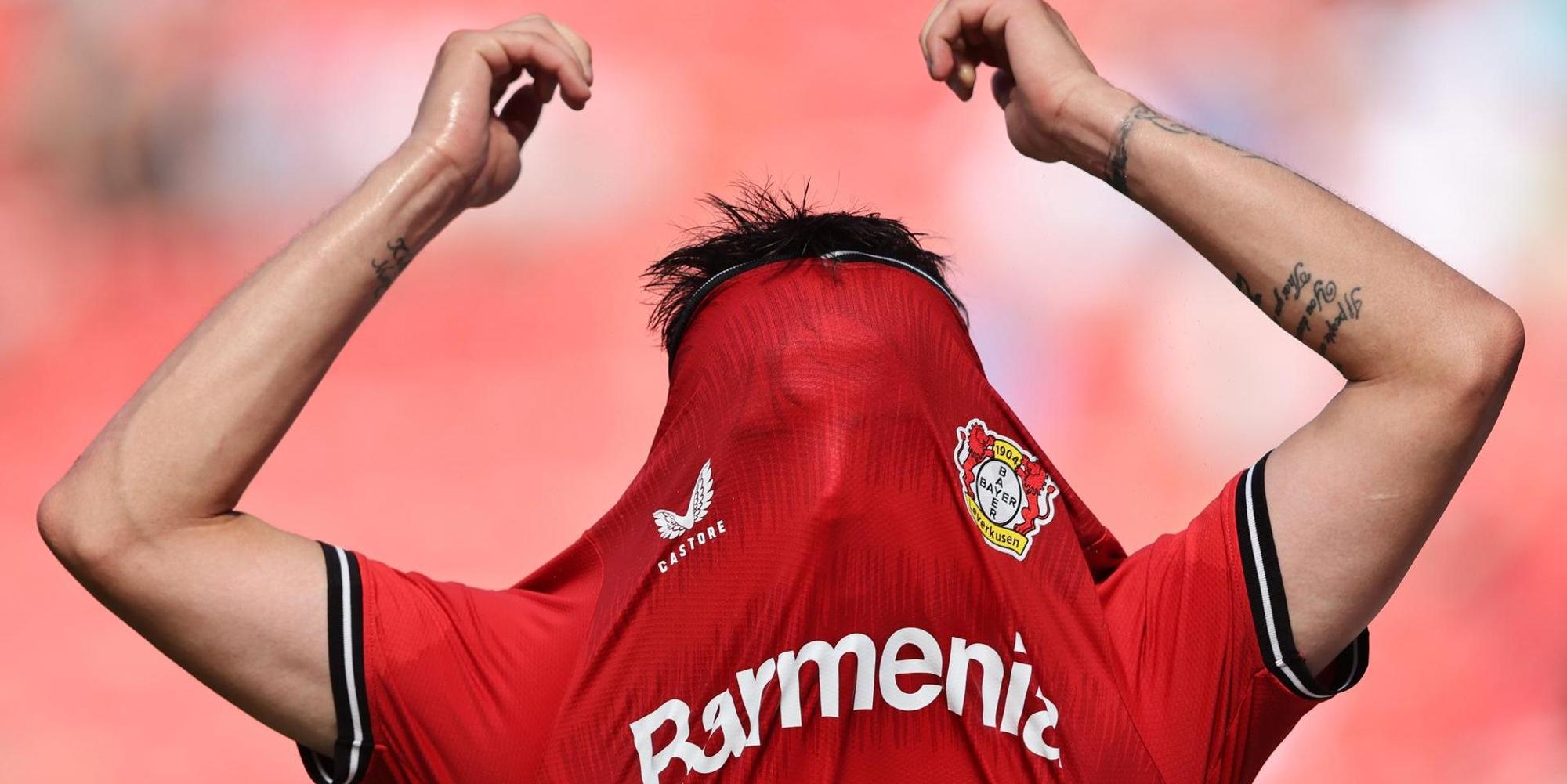 Bayer Kommentar Foto2