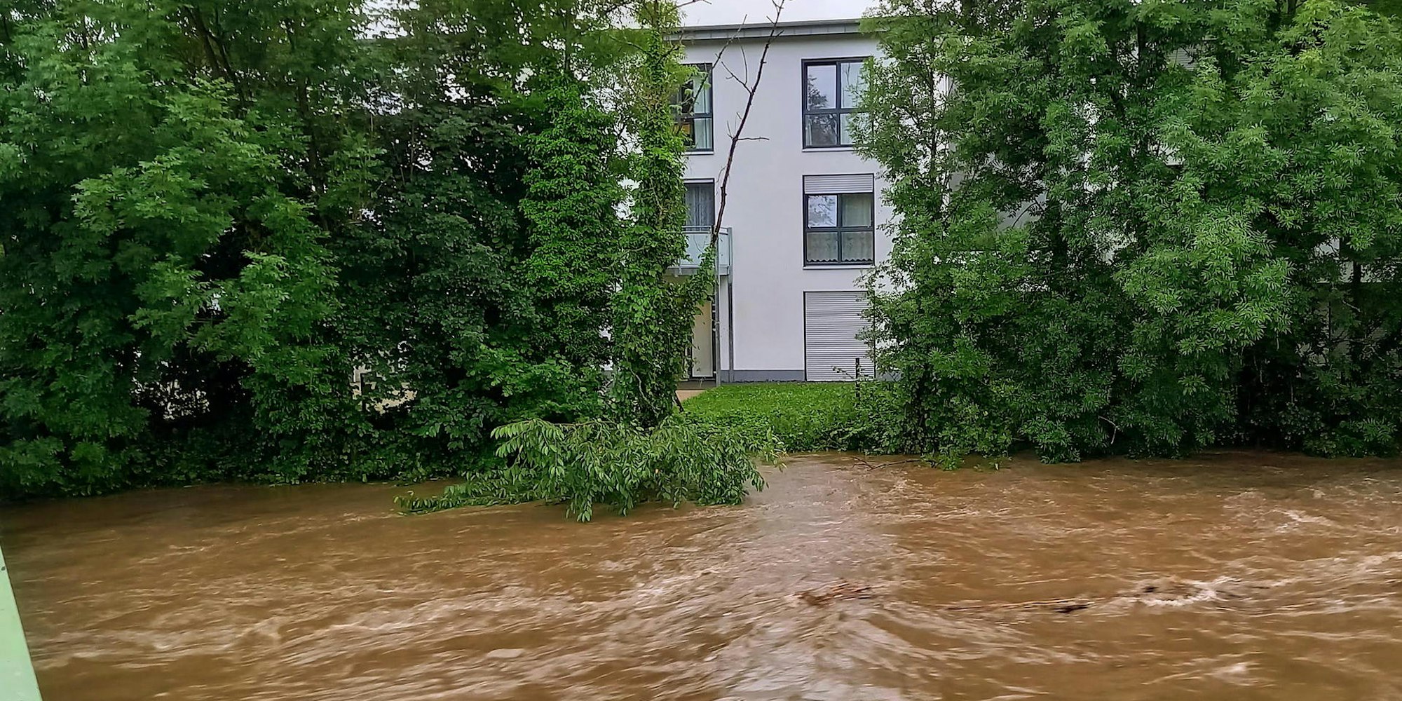 Flut-Schoenenborn,_Hildegard