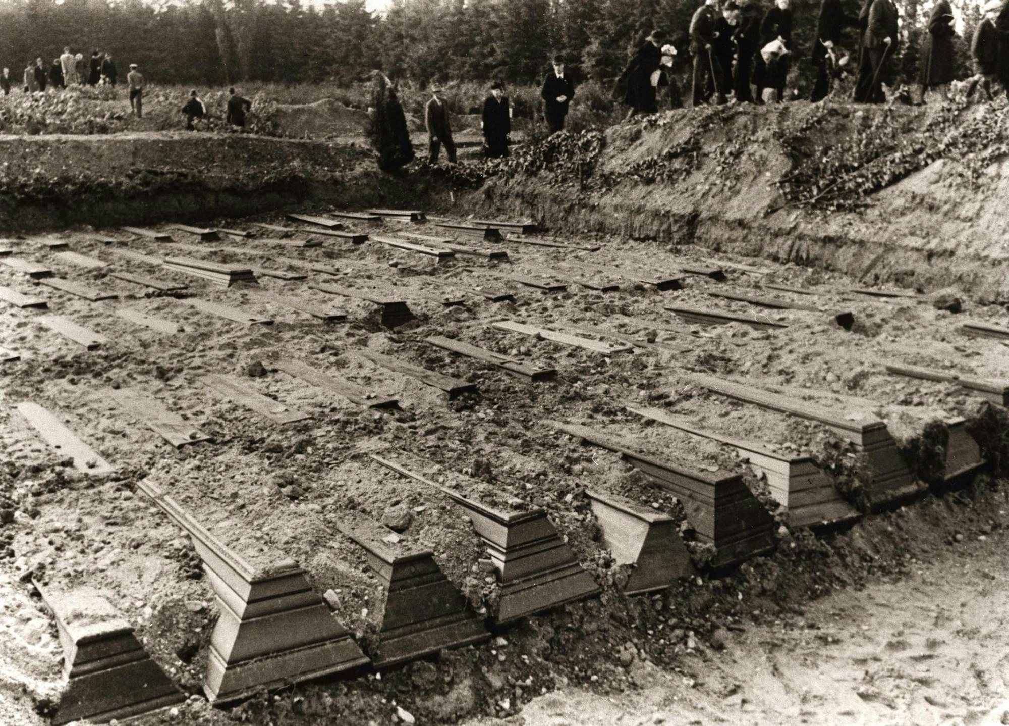 Massenbeisetzung von Kriegsopfern in Köln