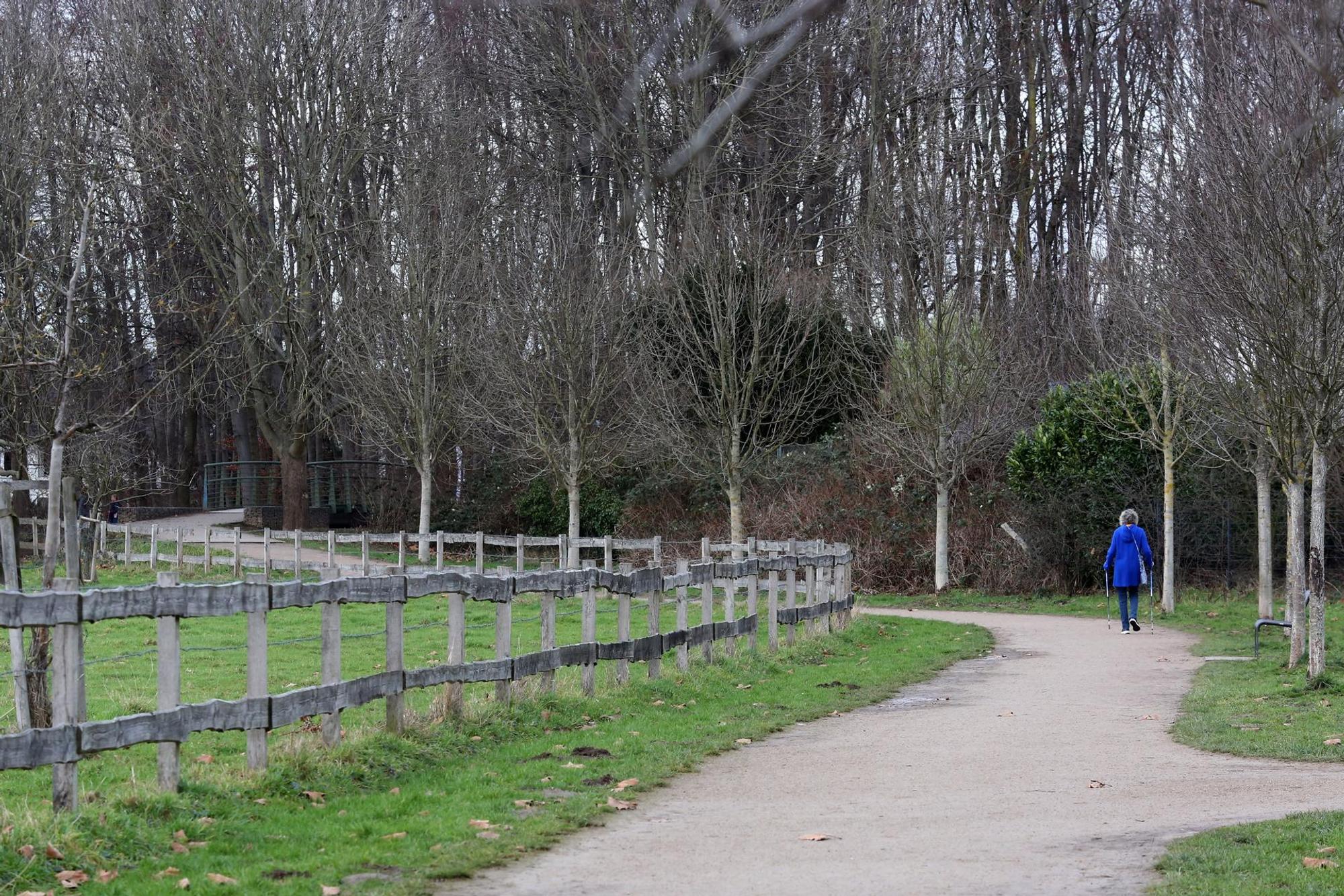 Holweide Spaziergang