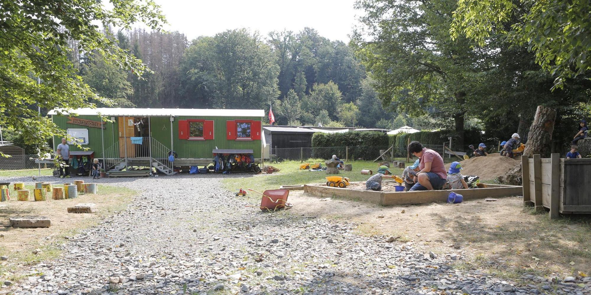 Wald_KiTa1