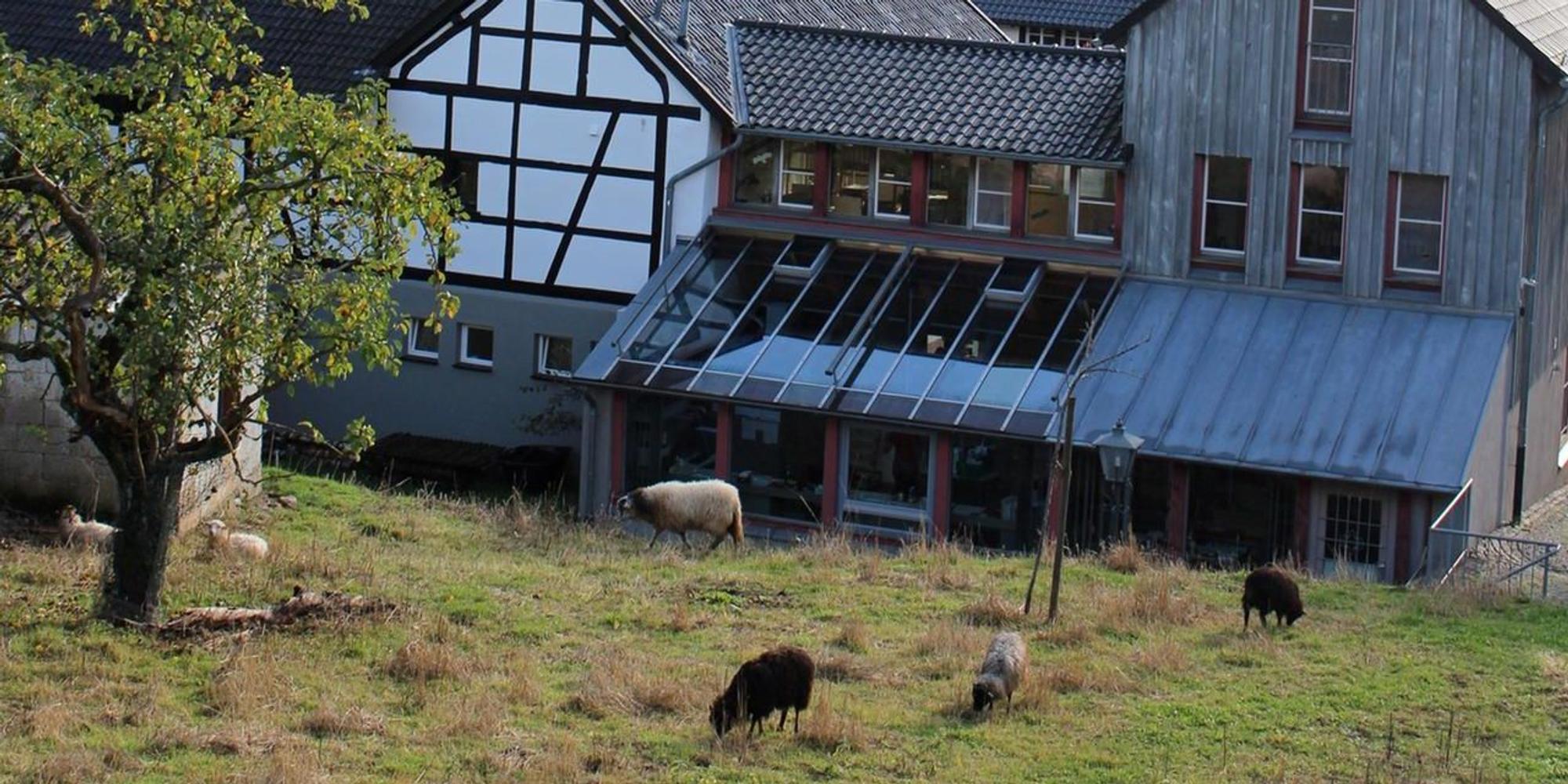 Erholung NETTERSHEIM HC