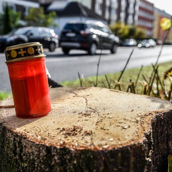 Bonner Straße Kahlschlag Grabkerze 171025
