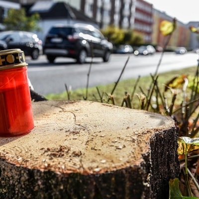 Bonner Straße Kahlschlag Grabkerze 171025
