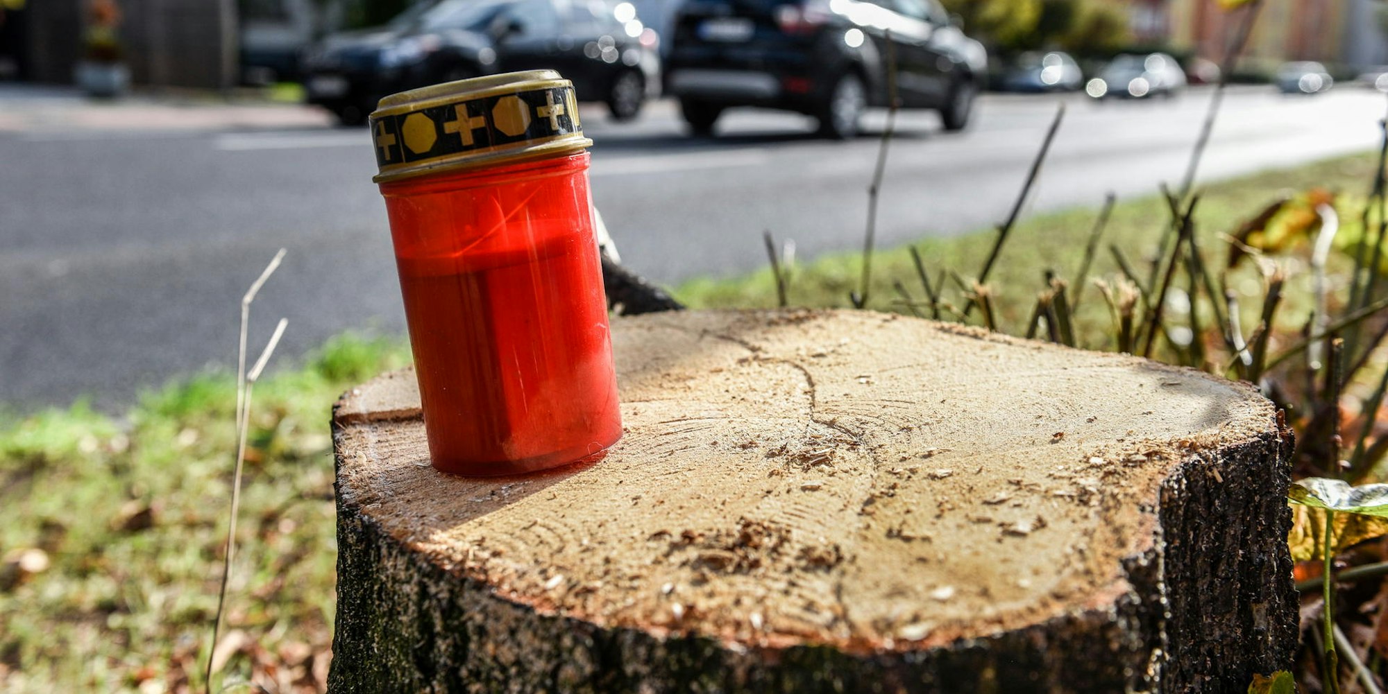 Bonner Straße Kahlschlag Grabkerze 171025