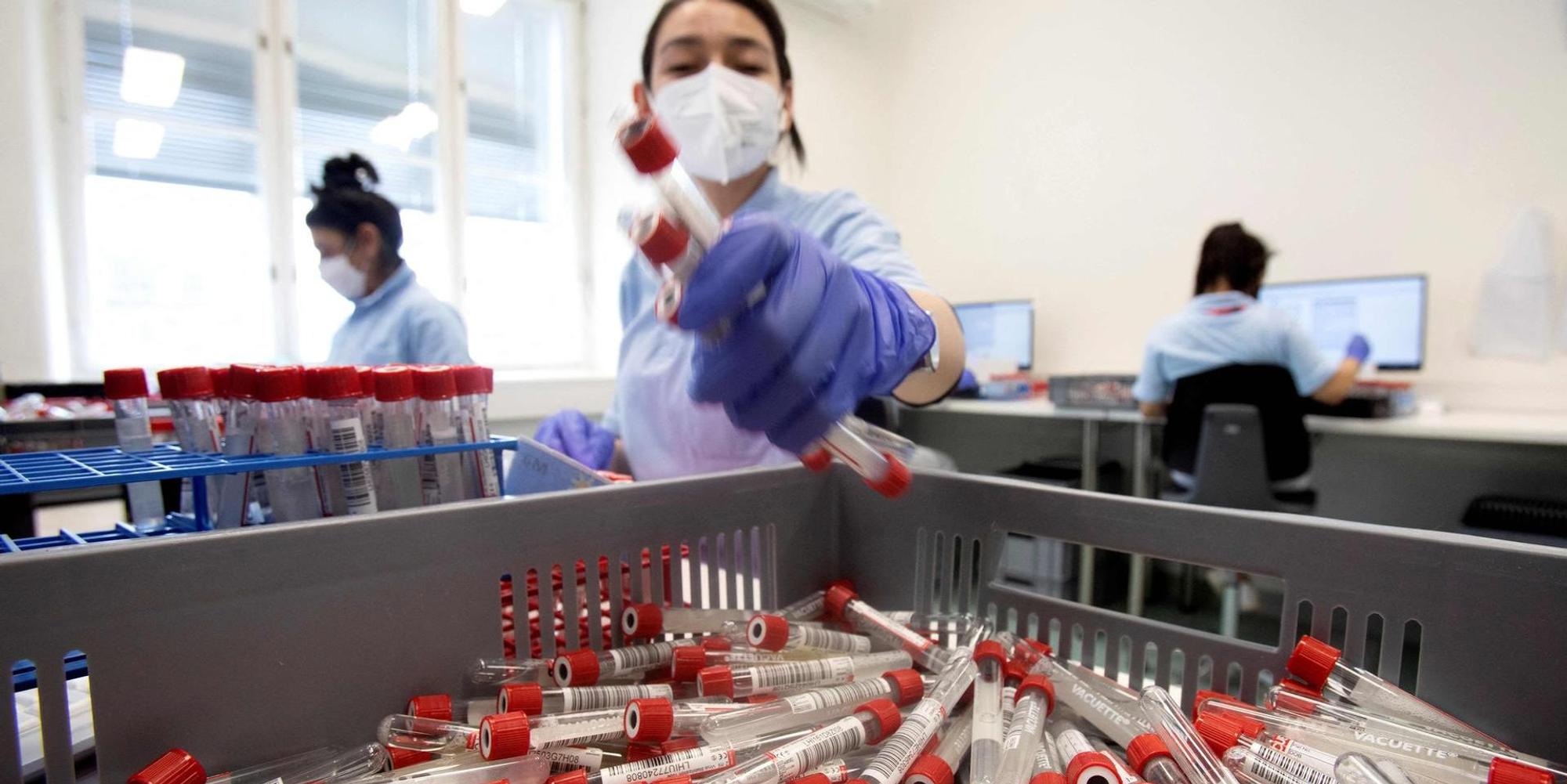 PCR-Test Labor