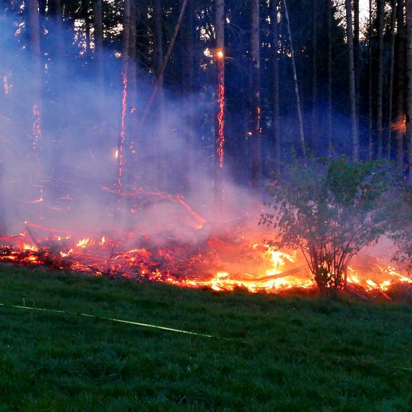 Waldbrand_Much