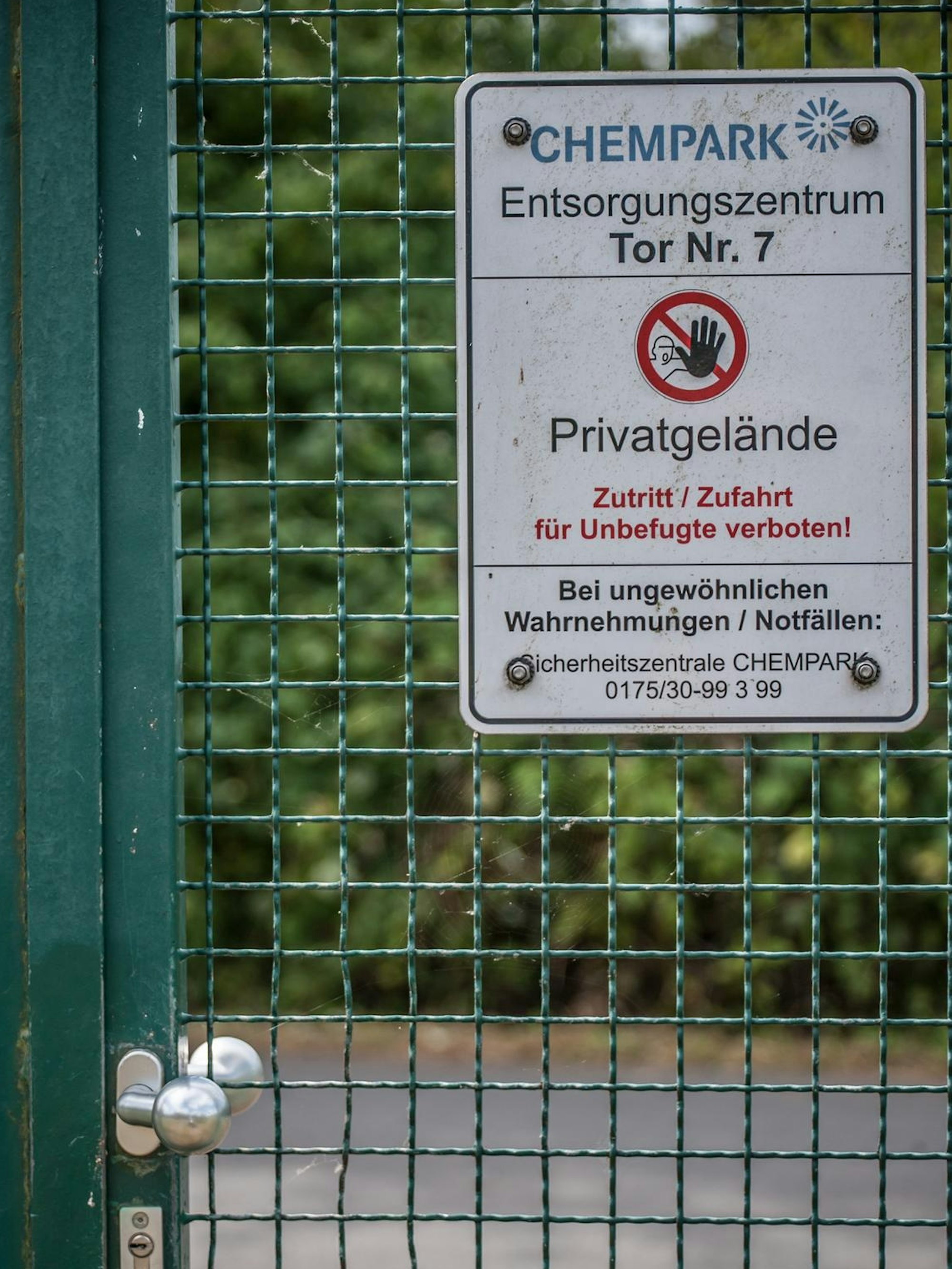 dartpfeil-ralf_rar_rle_07162022ALF_1669