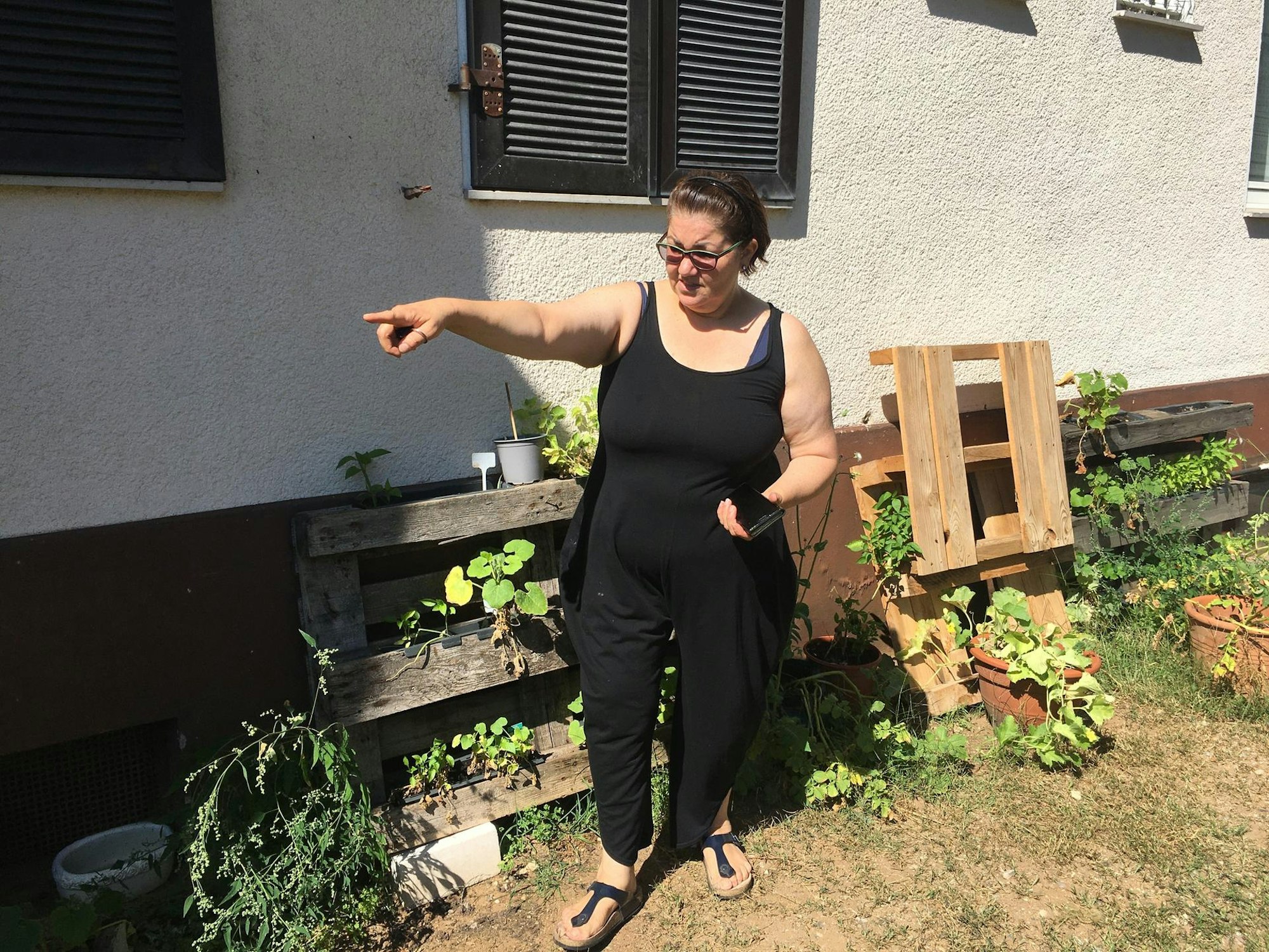 Dartpfeil Sabin6