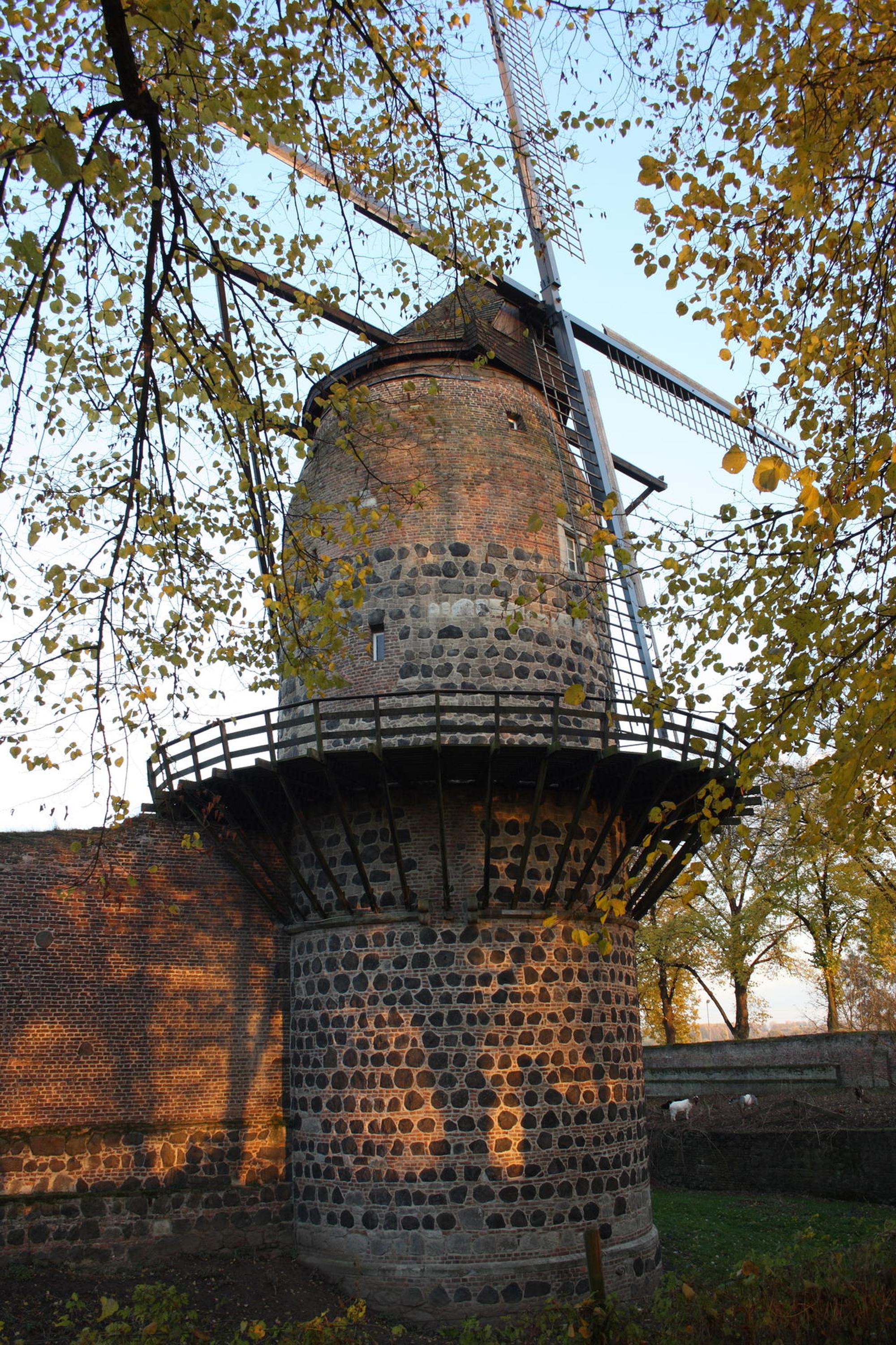 Zons_Windmühle_Wiki_CC3.0GFreihalter