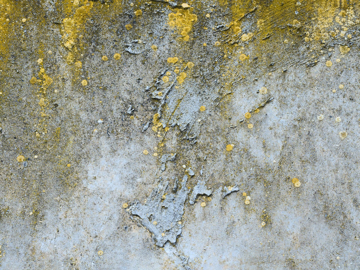 AdobeStock_240873504