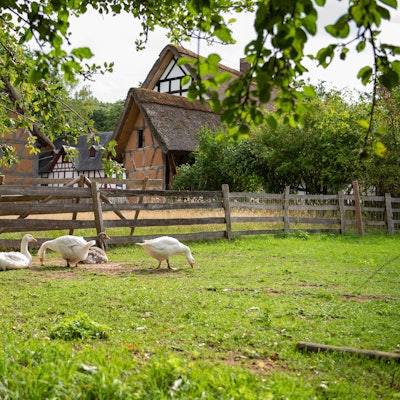 Freilichtmuseum Kommern