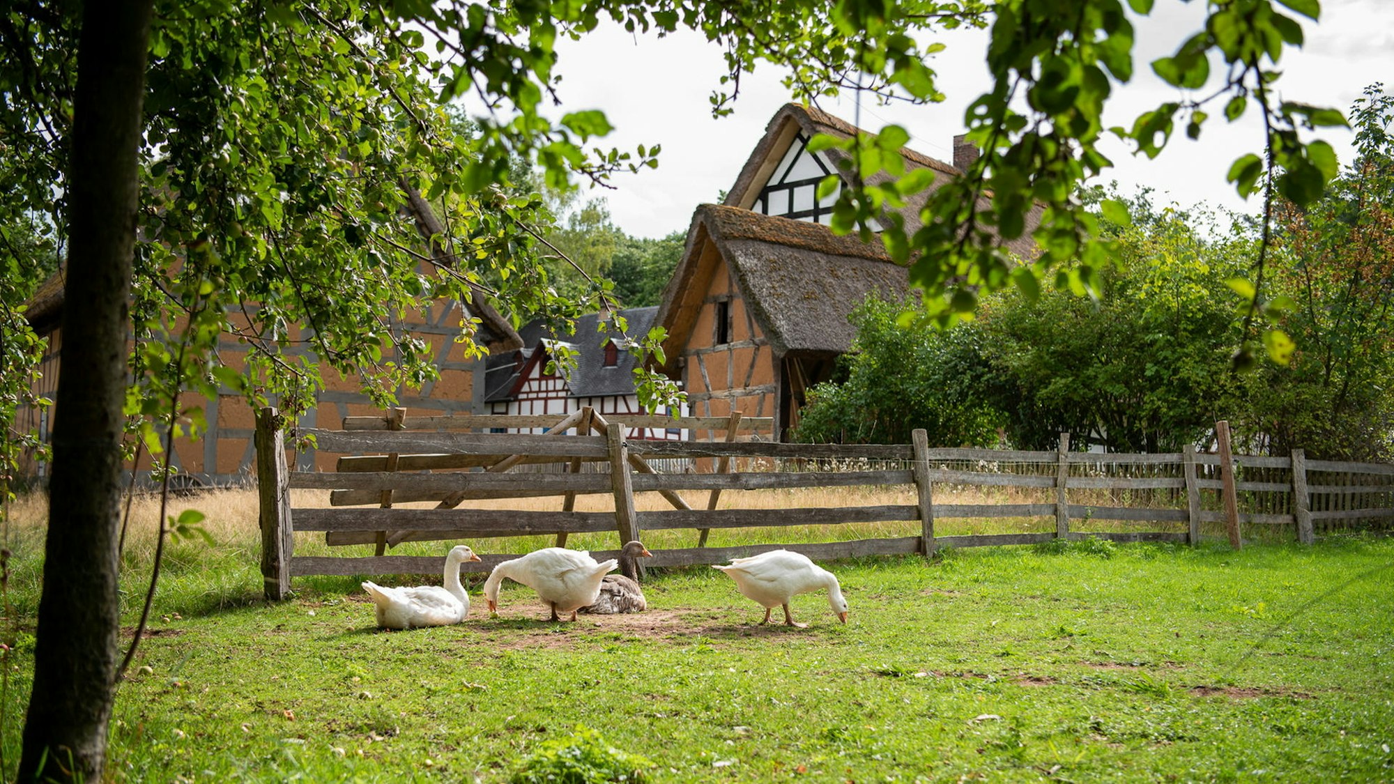 Freilichtmuseum Kommern