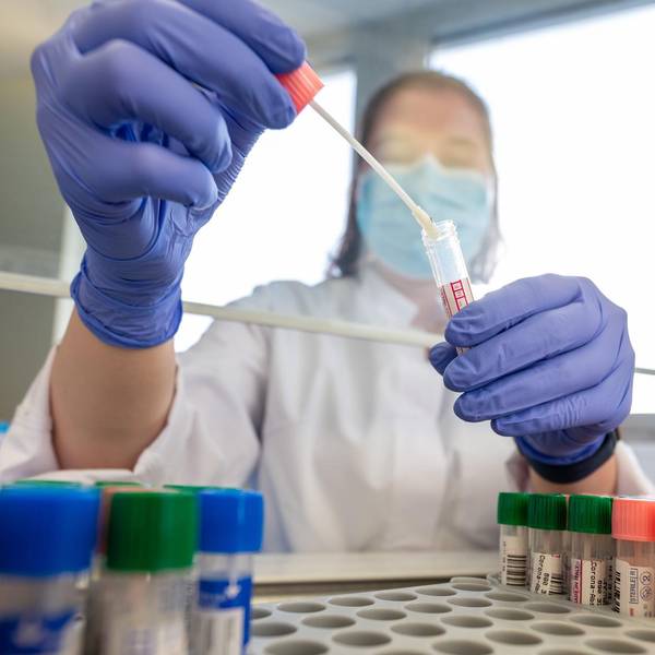 Symbolbild PCR-Test Labor