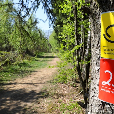 Waldmythenweg_Waldbroel_8448_Frühling