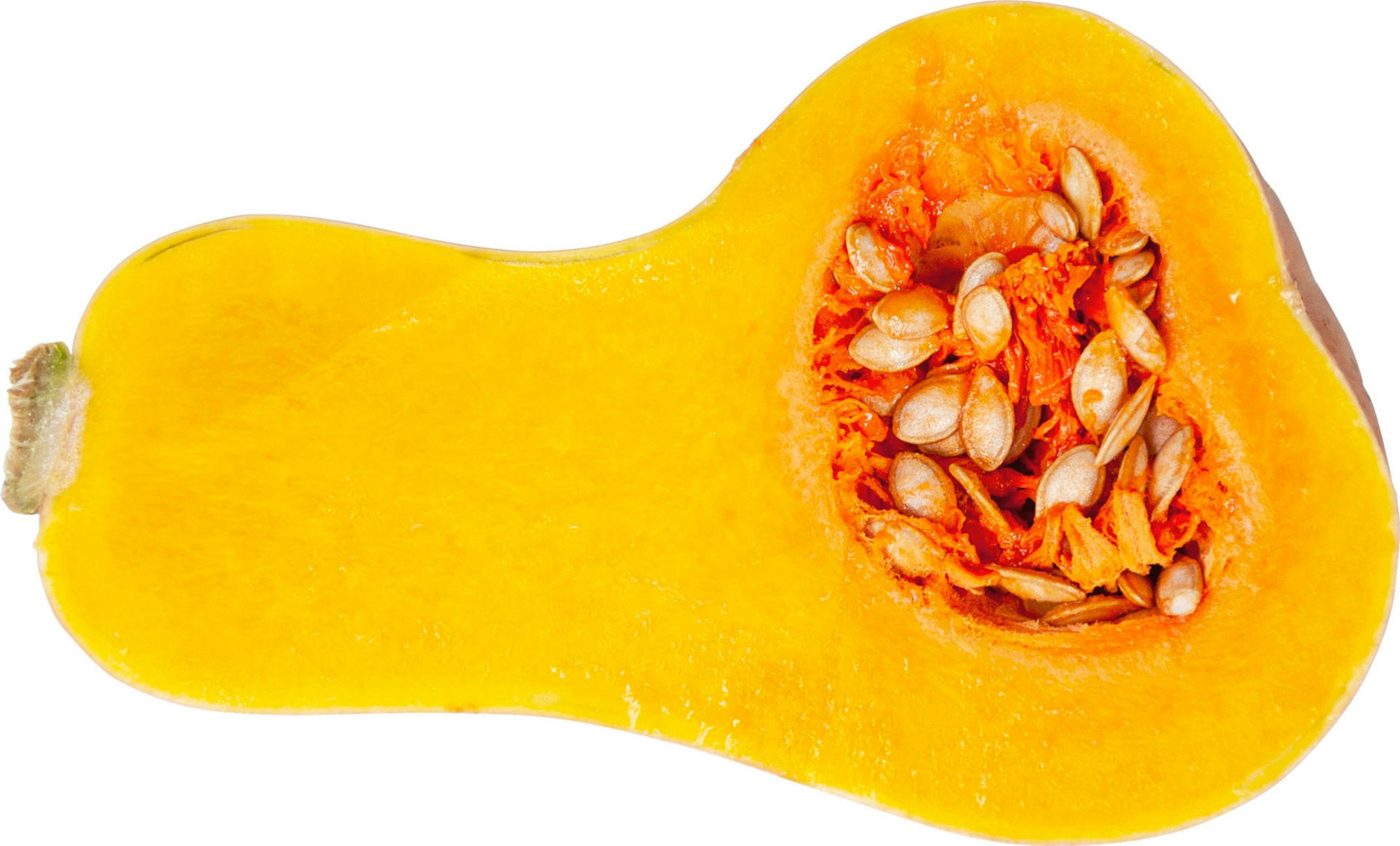 Butternut-aufgeschnitten_DSC7212