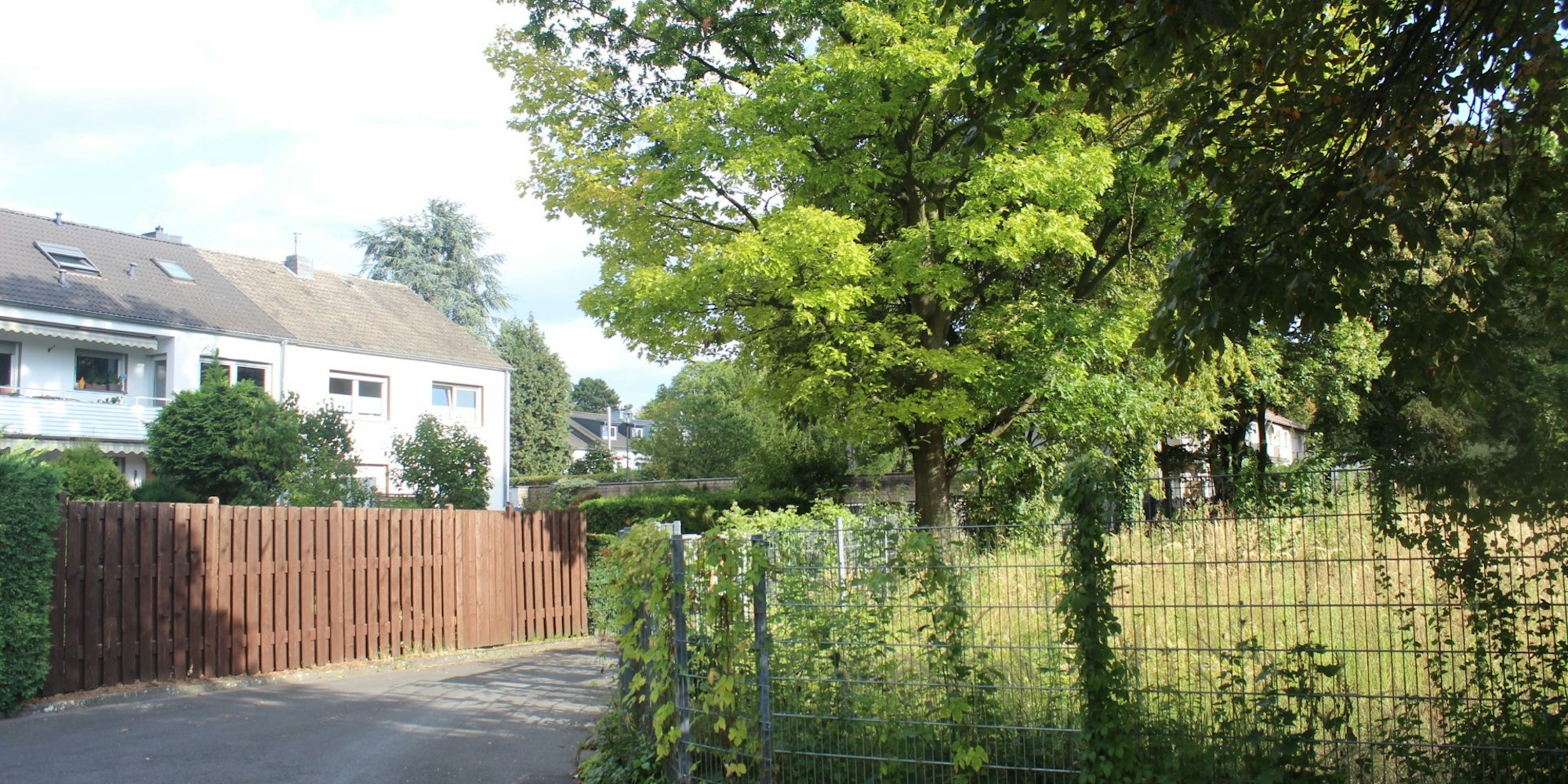 Neuer Inhalt (1)
