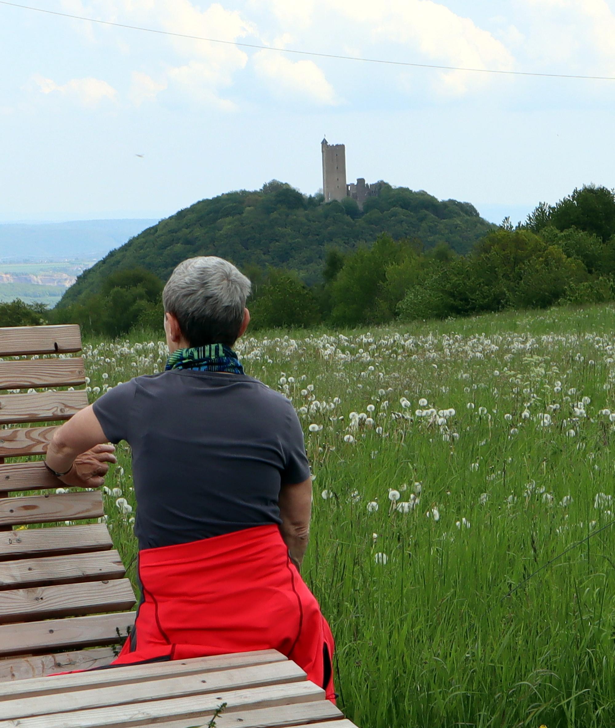 Wanderung Vier-Dörfer-Weg Blick auf Burg Olbrück 2