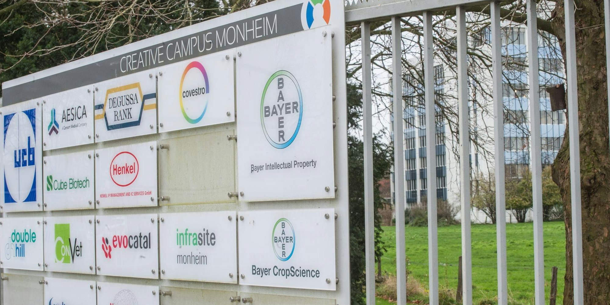 leverkusen-bayer-intellectual-property-ALF_3932