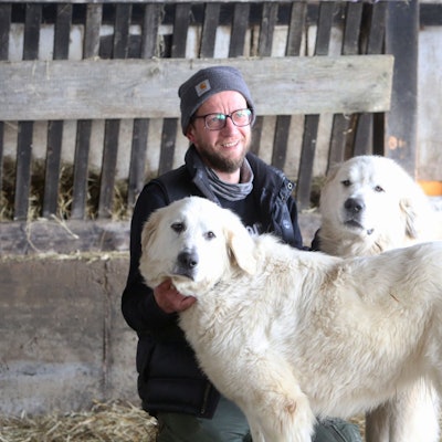 Laemmer_Schafzucht_Darscheid_Soeven