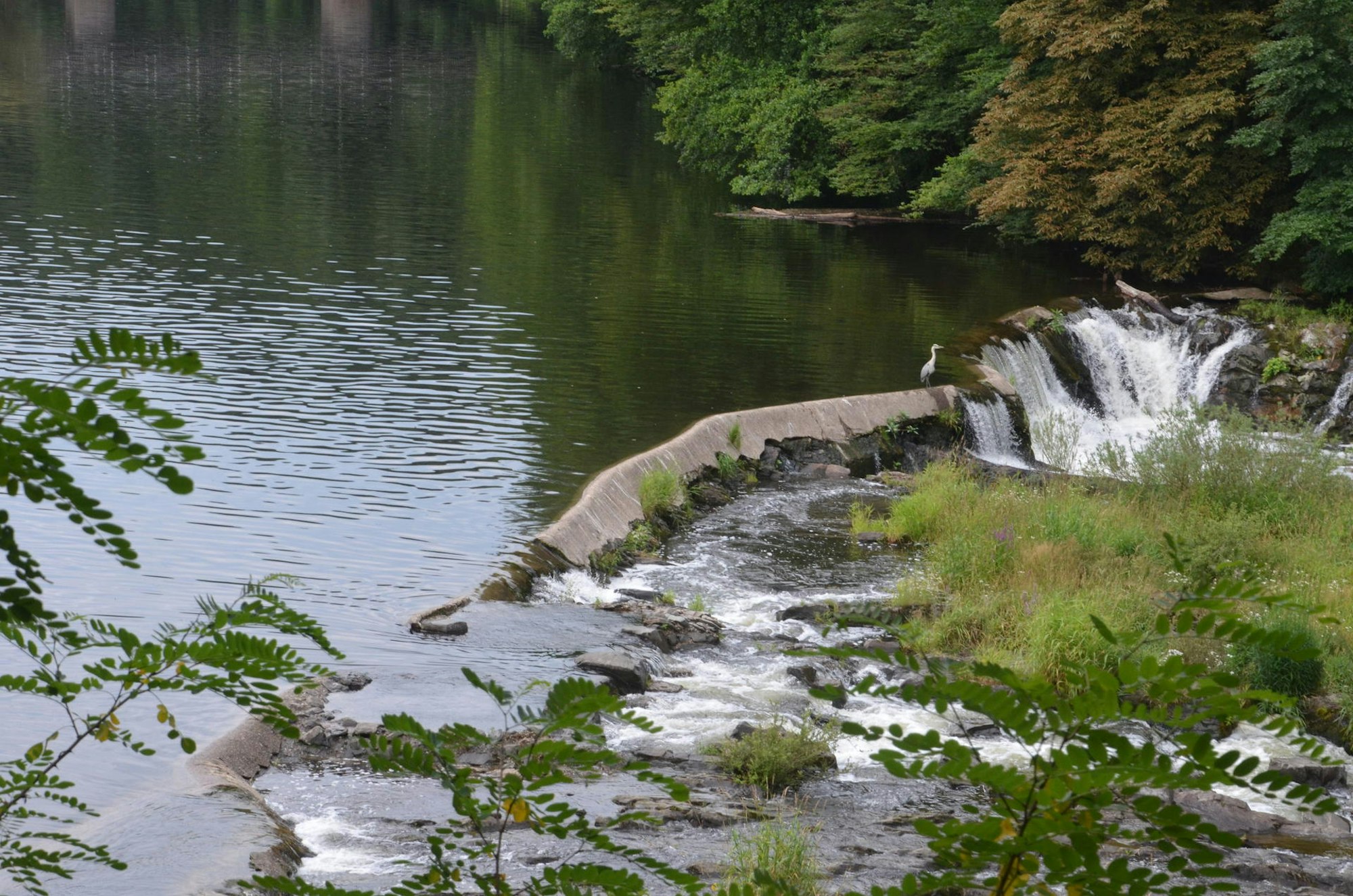 Siegwasserfall_2
